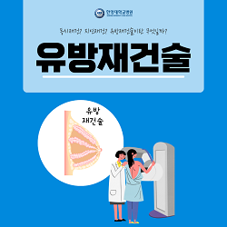 건강보험 적용된다? 유방재건술에 대한 모든 것!