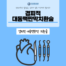 전신마취 필요 없는 '경피적 대동맥판막치환술'