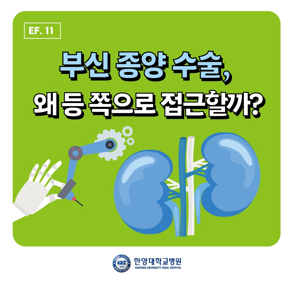 부신 종양 수술, 복부 대신 등으로 접근하는 이유