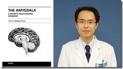 정신건강의학과 오동훈 교수, 『The Amygdala - A Discrete Multitasking Manager』 공동저자로 참여