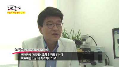 뱀독 그 후(아토피 피부염)