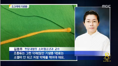 13세 남자아이 몸에서 3.5m 기생충 검출…어패류 섭취 주의
