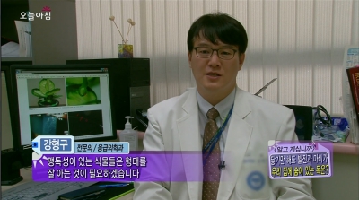 [생방송오늘아침]<알고 계십니까>닿기만 해도 발진과 마비가.. 우리 집에 숨어 있는 독은?