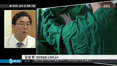 "줄기세포 치료제, 승인 전 환자에게 사용 가능"