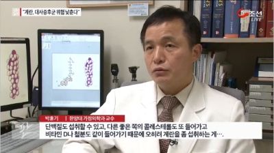 [뉴스쇼판]누명 벗은 계란!?..."대사증후군 위험 낮춘다"