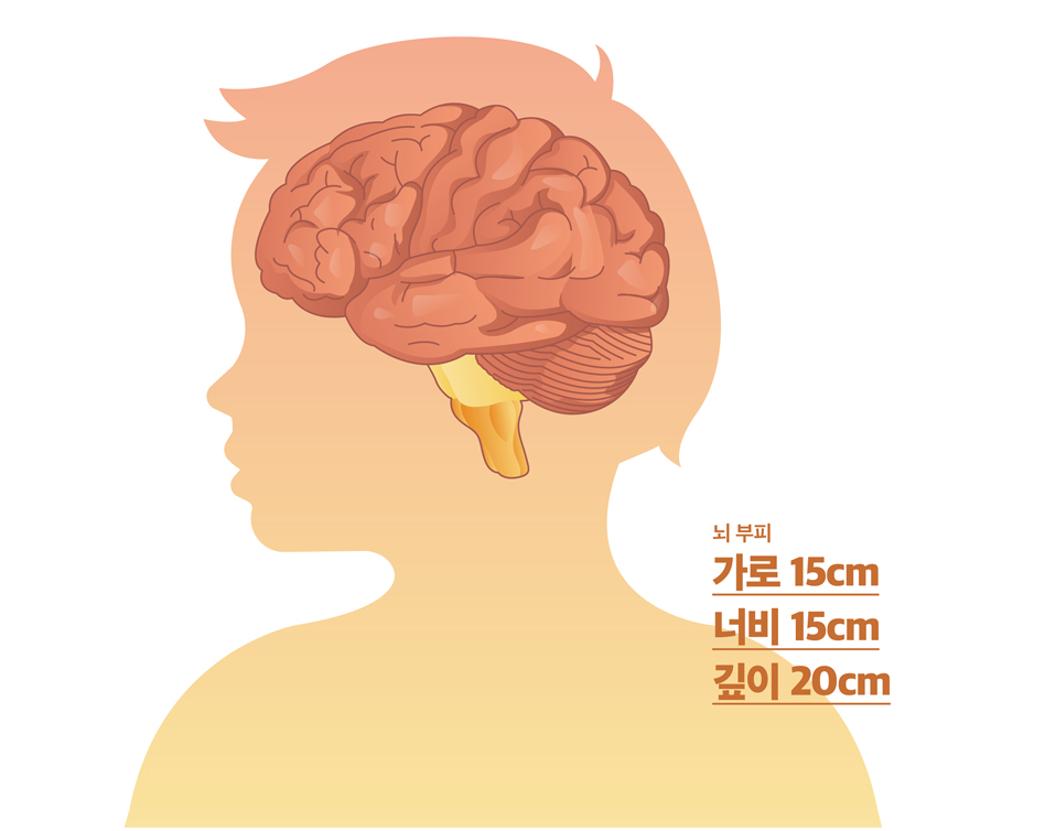 [건강소식 3월호]우리 몸의 관리자 ‘뇌’