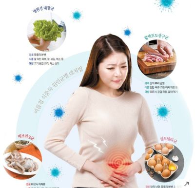 산낙지·흙 묻은 상추 그대로 한입? 여름엔 싱싱한 맛 즐기려다 탈 나요