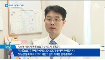 [뉴스]미세먼지 주춤하니 꽃가루 말성...비염 .천식 환자 급증