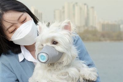 "미세먼지, 침실이 거실보다 2배 많아"