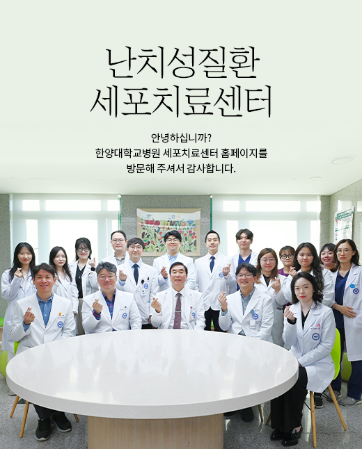 이미지 배너
