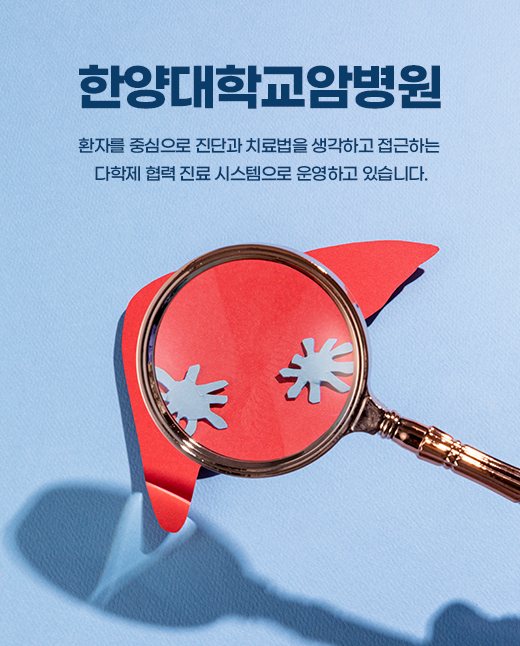 이미지 배너
