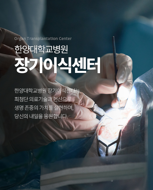 이미지 배너