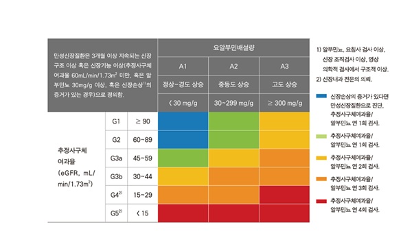 신장기능 이상