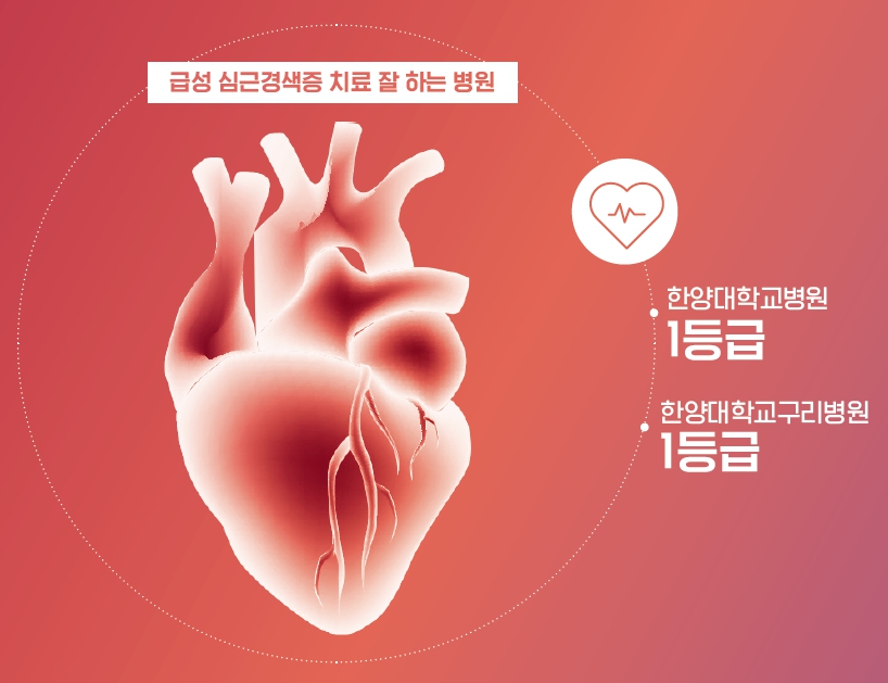 급성기 뇌졸중 치료 잘하는 병원 - 한양대학교병원·한양대학교구리병원 1등급